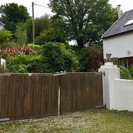 Fernery Garden Cottage, Near Skibbereen Exteriér fotografie